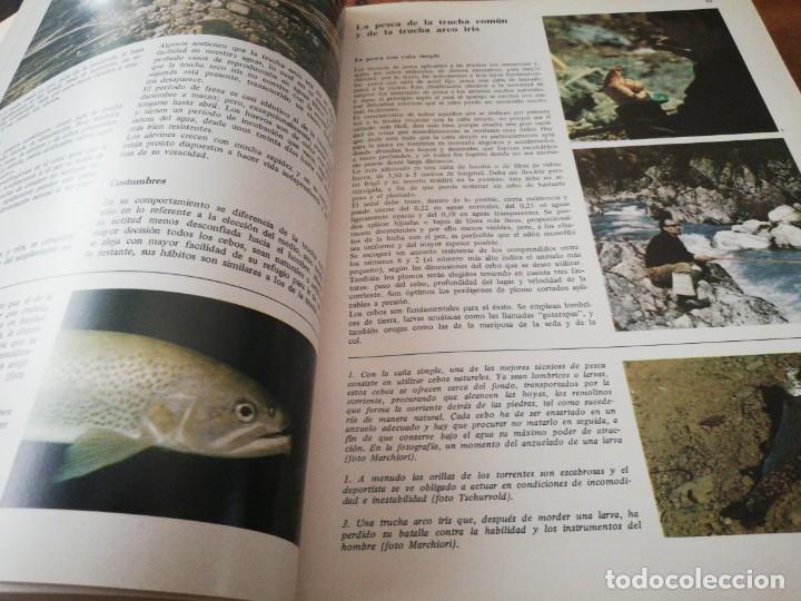 Enciclopedias de segunda mano: Enciclopedia de la pesca. - Foto 3