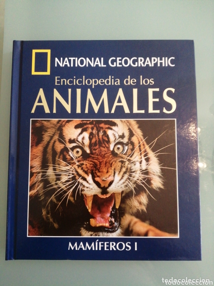 Cuanto Dura La Pelicula Animales Fantasticos