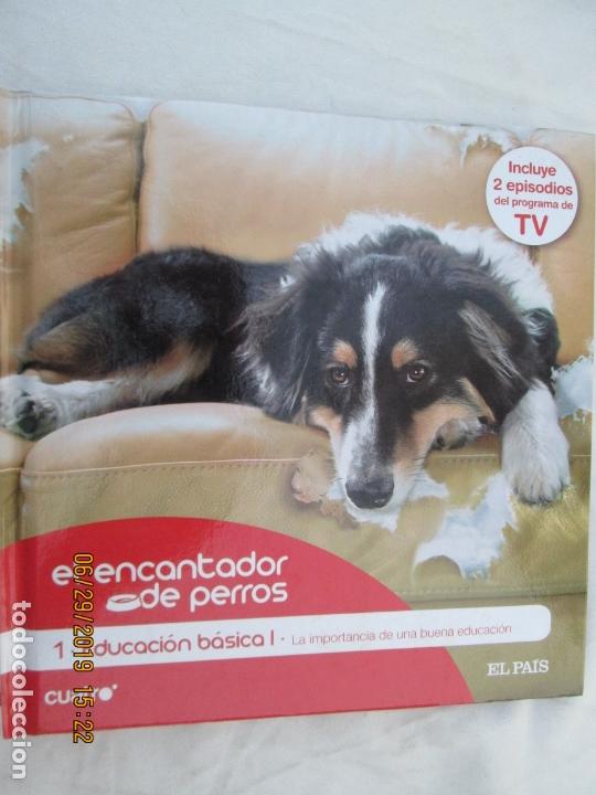 Livres d'occasion: EL ENCANTADOR DE PERROS N&ordm;  1. EDUCACI&Oacute;N B&Aacute;SICA. I. LA IMPORTANCIA DE UNA BUENA EDUCACION. DVD
