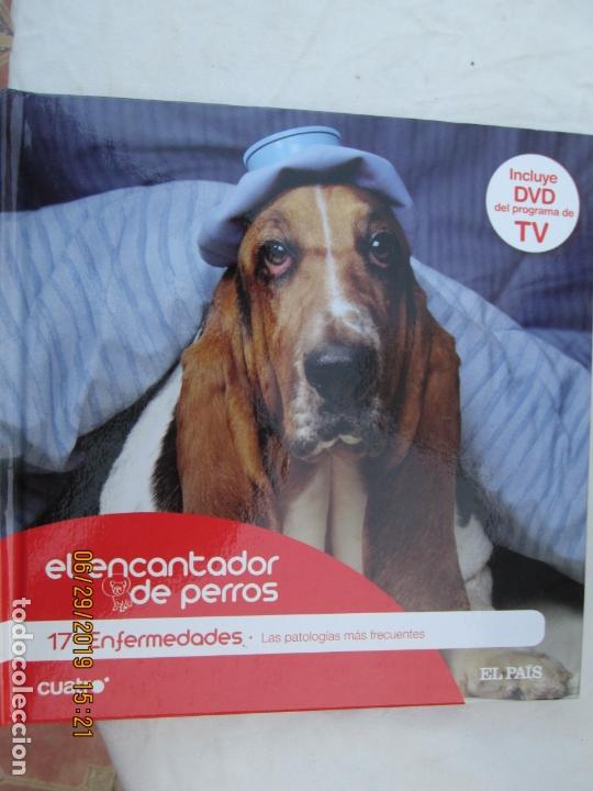 Livres d'occasion: EL ENCANTADOR DE PERROS N&ordm; 17 ENFERMEDADES , LAS PATOLOGIAS MAS FRECUENTES +DVD