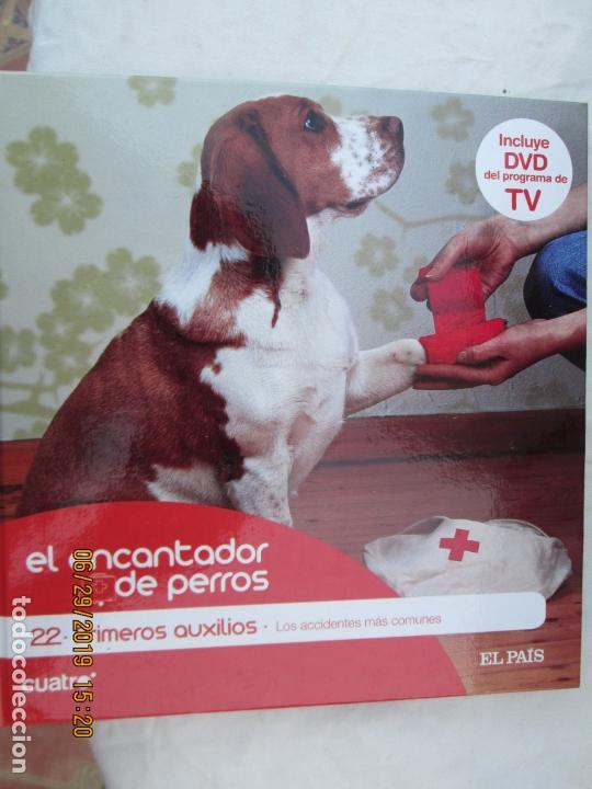 Livres d'occasion: EL ENCANTADOR DE PERROS N&ordm; 22 PRIMEROS AUXILIOS , LOS ACCIDENTES MAS COMUNES +DVD