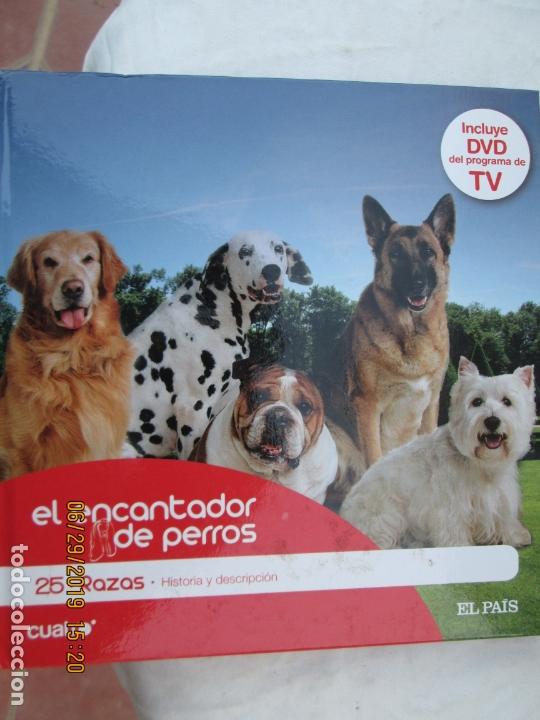 Livres d'occasion: EL ENCANTADOR DE PERROS N&ordm; 25 RAZAS , HISTORIA Y DESCRIPCION +DVD