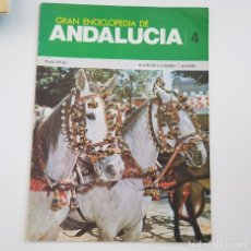 Enciclopedias de segunda mano: GRAN ENCICLOPEDIA DE ANDALUCÍA, FASCÍCULO Nº 4 TOMO I, EDICIONES ANEL, AÑO 1979, BUEN ESTADO