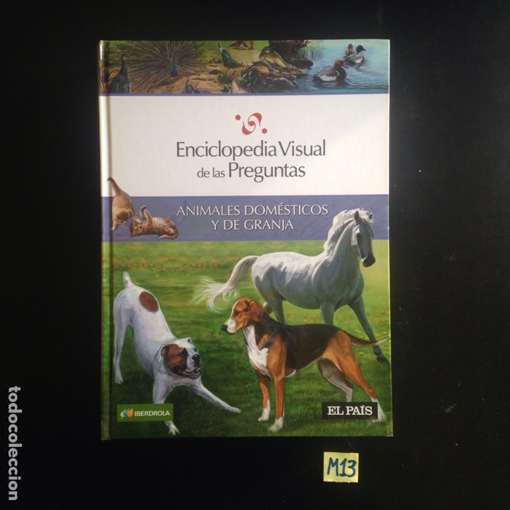 Enciclopedias de segunda mano: Enciclopedia visual de las preguntas - Foto 1