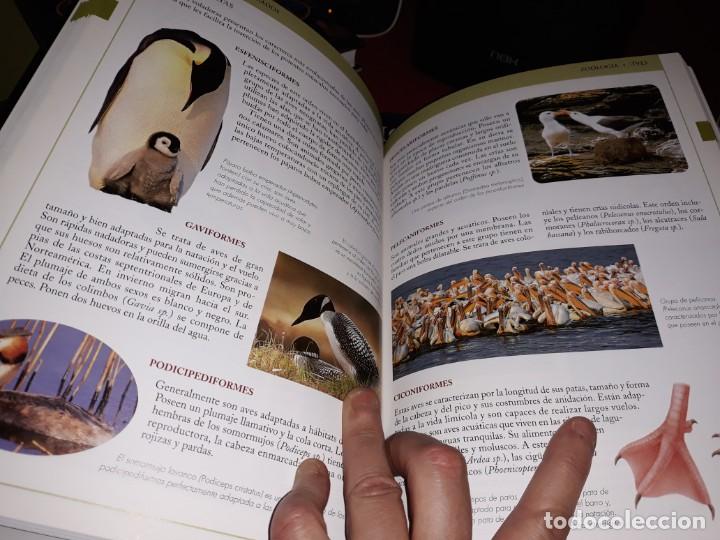 Enciclopedias de segunda mano: Enciclopedia Temática Interactiva 4 tomos Completa . Jarca 2002 - Foto 4 - 192004602