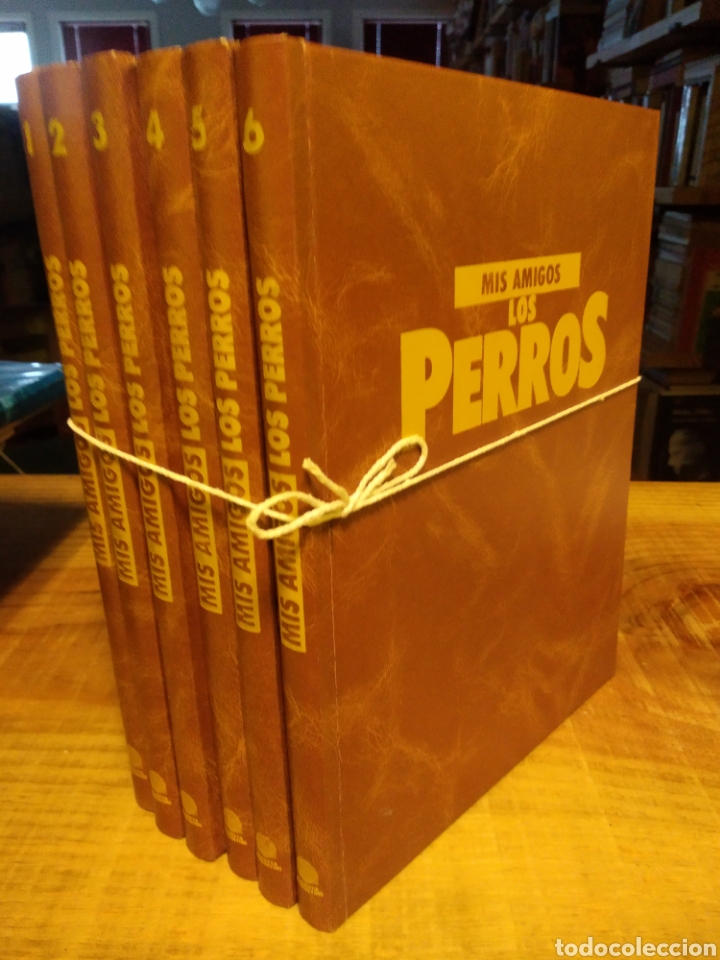 Enciclopedias de segunda mano: MIS AMIGOS LOS PERROS. PLANETA #A1 - Foto 1