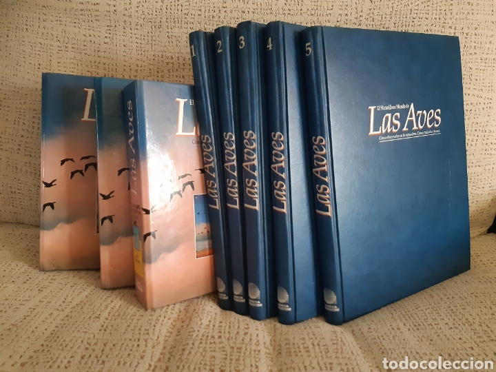 Enciclopedias de segunda mano: Enciclopedia de las aves - Foto 2