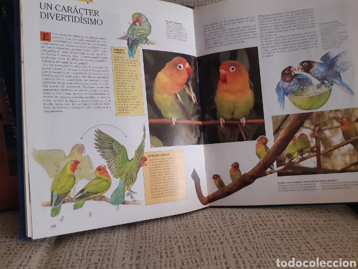 Enciclopedias de segunda mano: Enciclopedia de las aves - Foto 4