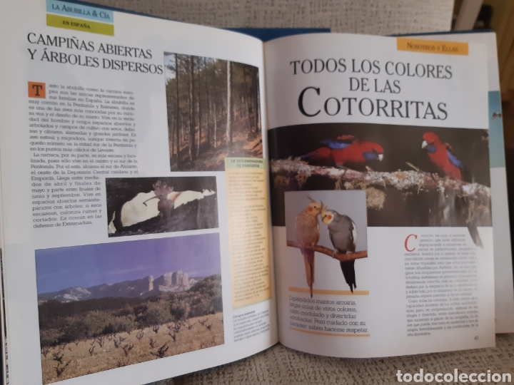 Enciclopedias de segunda mano: Enciclopedia de las aves - Foto 5