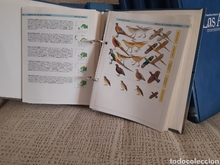 Enciclopedias de segunda mano: Enciclopedia de las aves - Foto 6