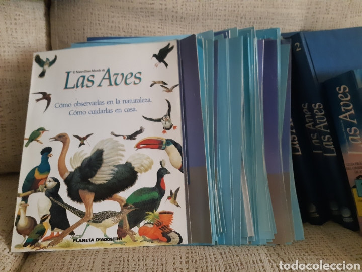 Enciclopedias de segunda mano: Enciclopedia de las aves - Foto 9