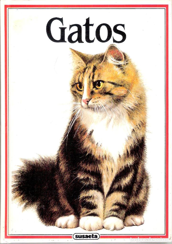 Enciclopedias de segunda mano: GATOS - ALBERT PINTERA - Foto 1