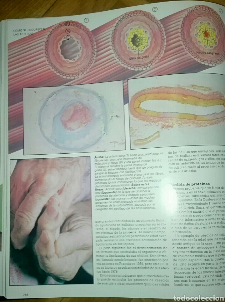 Enciclopedias de segunda mano: ENCICLOPEDIA DE LA EVOLUCI&Oacute;N - Foto 2