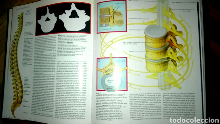 Enciclopedias de segunda mano: ENCICLOPEDIA DE LA EVOLUCI&Oacute;N - Foto 3