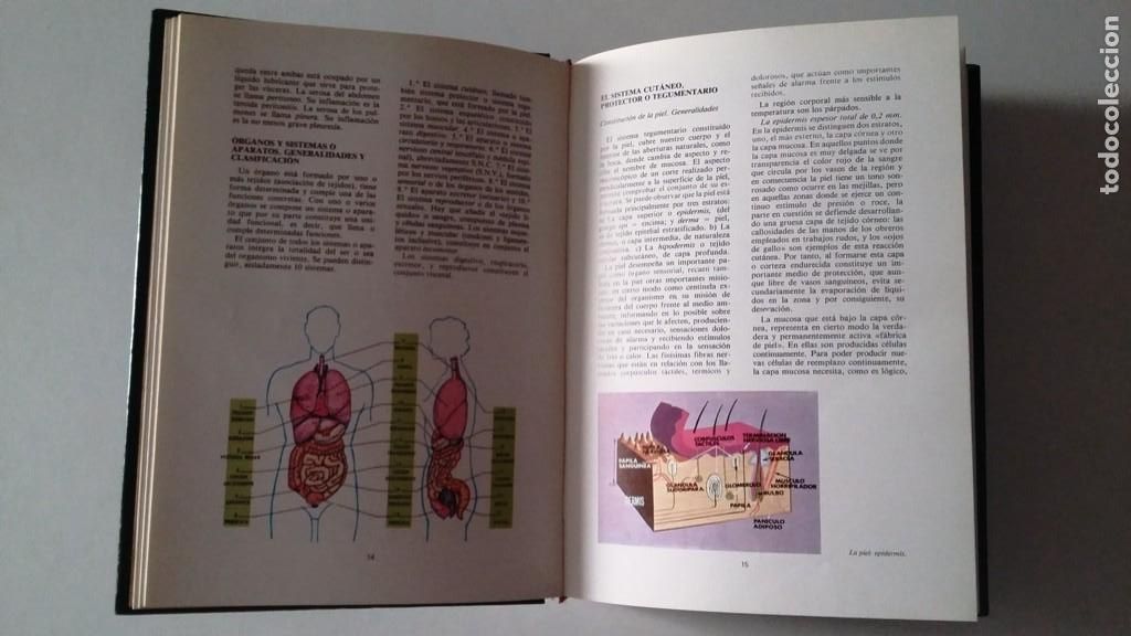 Enciclopedias de segunda mano: Consultor Pedagogico - Foto 2