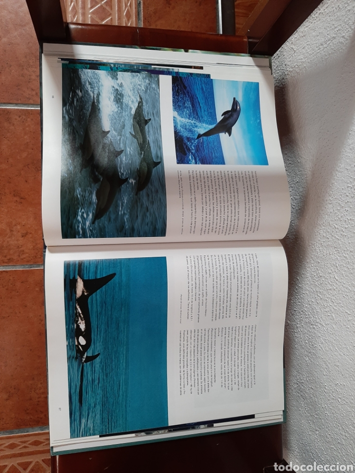 Enciclopedias de segunda mano: La Vida en el Mar. - Foto 3