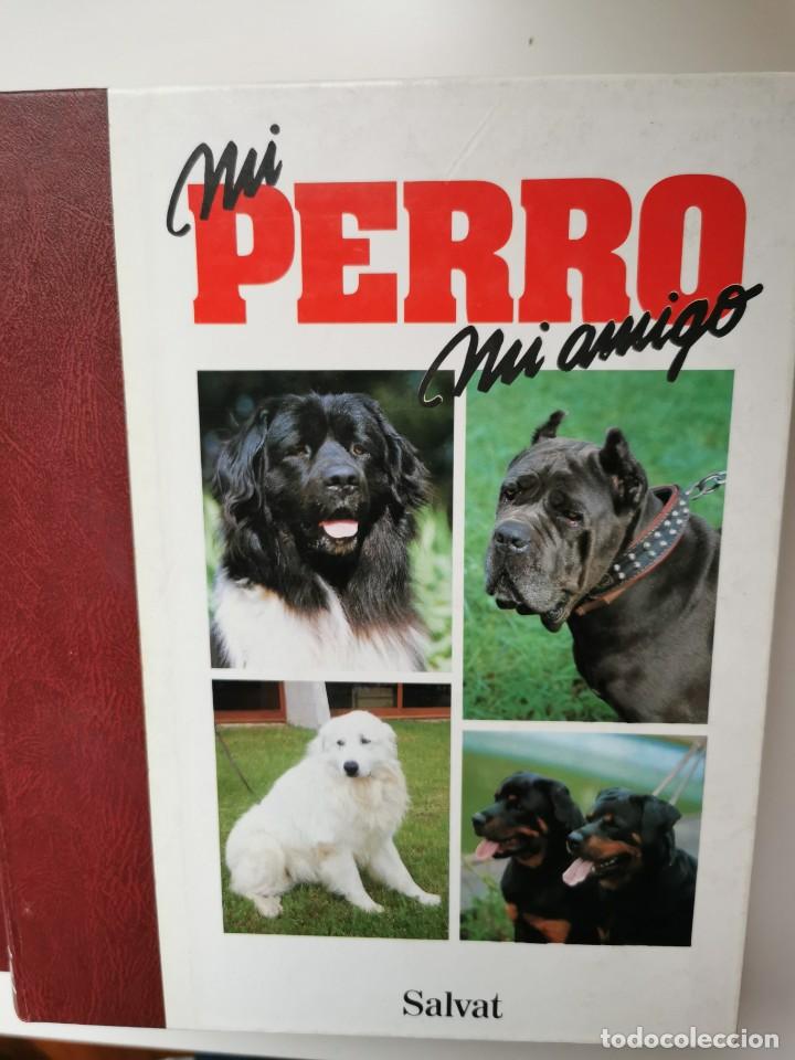 Enciclopedias de segunda mano: MI PERRO MI AMIGO - 4 TOMOS - Foto 1