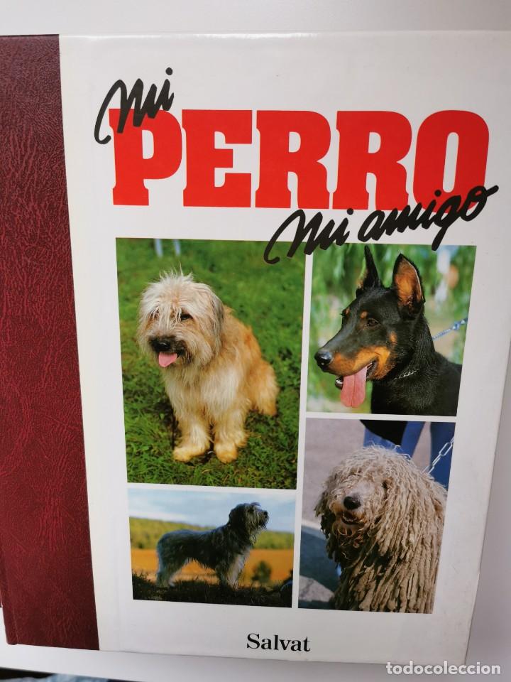 Enciclopedias de segunda mano: MI PERRO MI AMIGO - 4 TOMOS - Foto 3