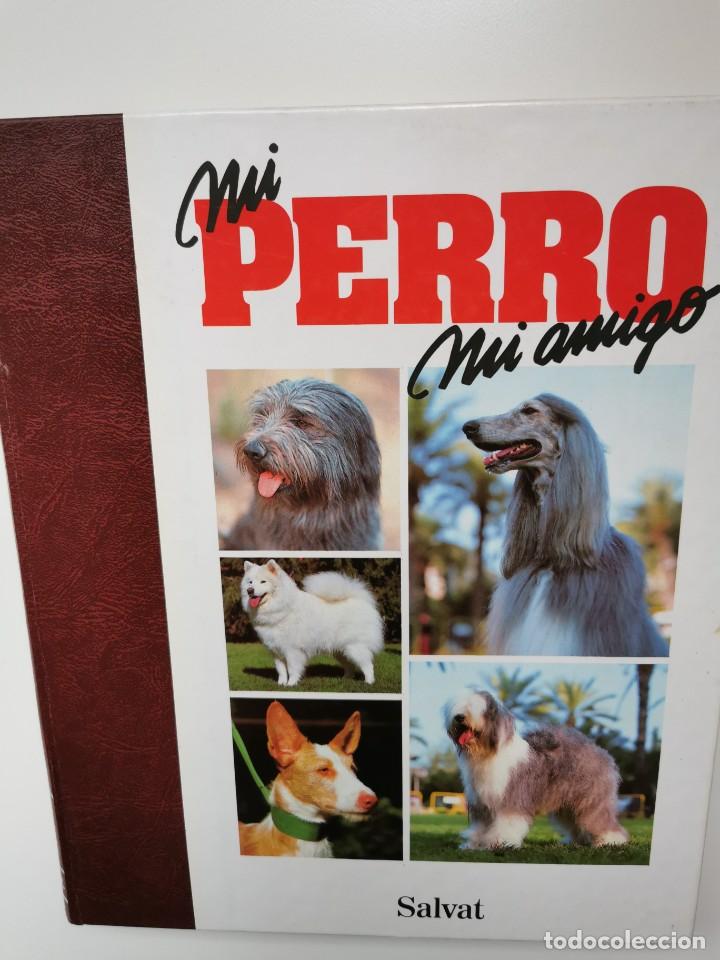 Enciclopedias de segunda mano: MI PERRO MI AMIGO - 4 TOMOS - Foto 5