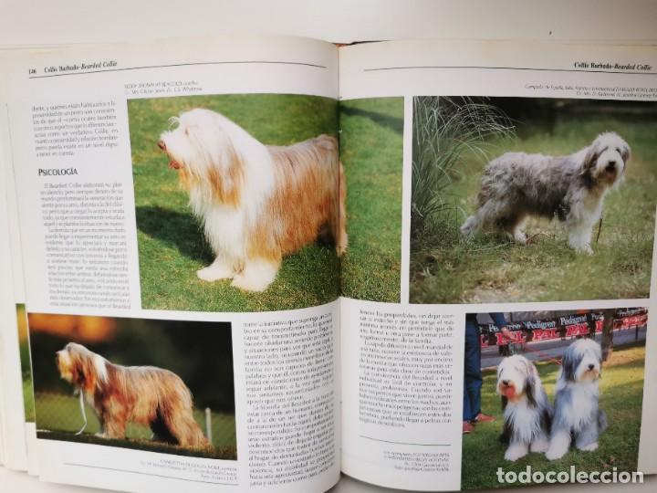 Enciclopedias de segunda mano: MI PERRO MI AMIGO - 4 TOMOS - Foto 6