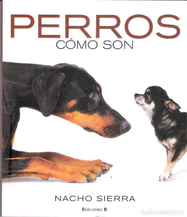 Enciclopedias de segunda mano: PERROS. COMO SON. - NACHO SIERRA - Foto 1