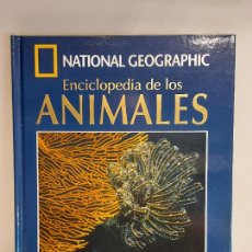 Enciclopedias de segunda mano: ENCICLOPEDIA DE LOS ANIMALES / 9 / INVERTEBRADOS I / NATIONAL GEOGRAPHIC / LIBRO + DVD / NUEVO.