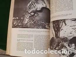 Enciclopedias de segunda mano: El Nuevo Tesoro de la Juventud - Foto 2