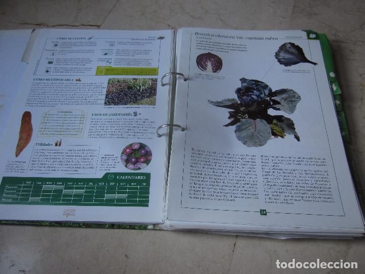 Enciclopedias de segunda mano: TERRAZAS Y JARDINES - EDICIONES DEL PRADO - Foto 11