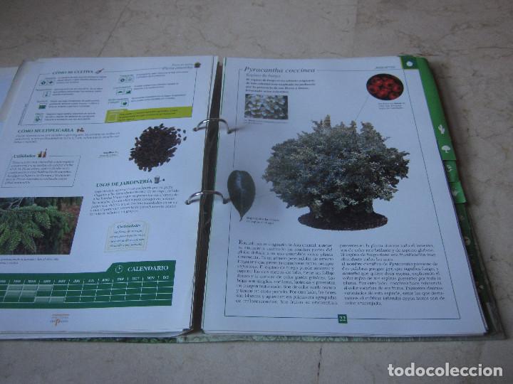 Enciclopedias de segunda mano: TERRAZAS Y JARDINES - EDICIONES DEL PRADO - Foto 24