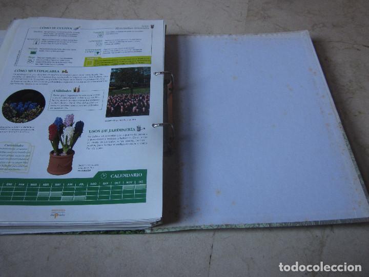Enciclopedias de segunda mano: TERRAZAS Y JARDINES - EDICIONES DEL PRADO - Foto 25