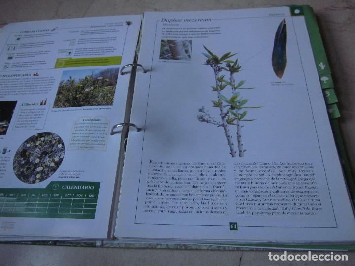 Enciclopedias de segunda mano: TERRAZAS Y JARDINES - EDICIONES DEL PRADO - Foto 28