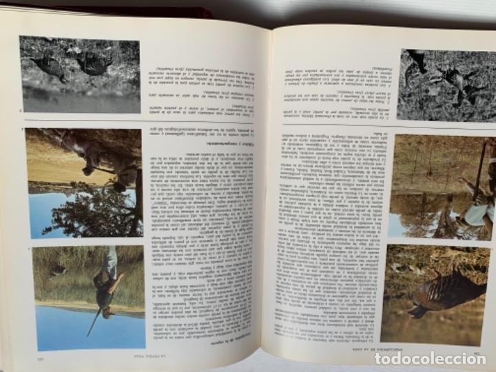 Enciclopedias de segunda mano: Enciclopedia de la caza - Foto 2