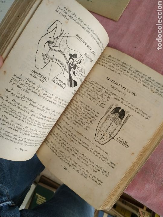 Enciclopedias de segunda mano: Enciclopedia Moderna Grado Medio (E. Gonz&aacute;lez) Ap&eacute;ndice Complementario Gram&aacute;tica - Foto 6