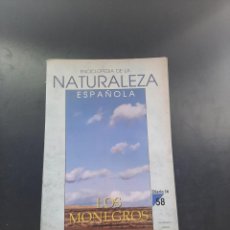 Enciclopedias de segunda mano: ENCICLOPEDIA DE LA NATURALEZA EN ESPAÑA. Lote 264724589