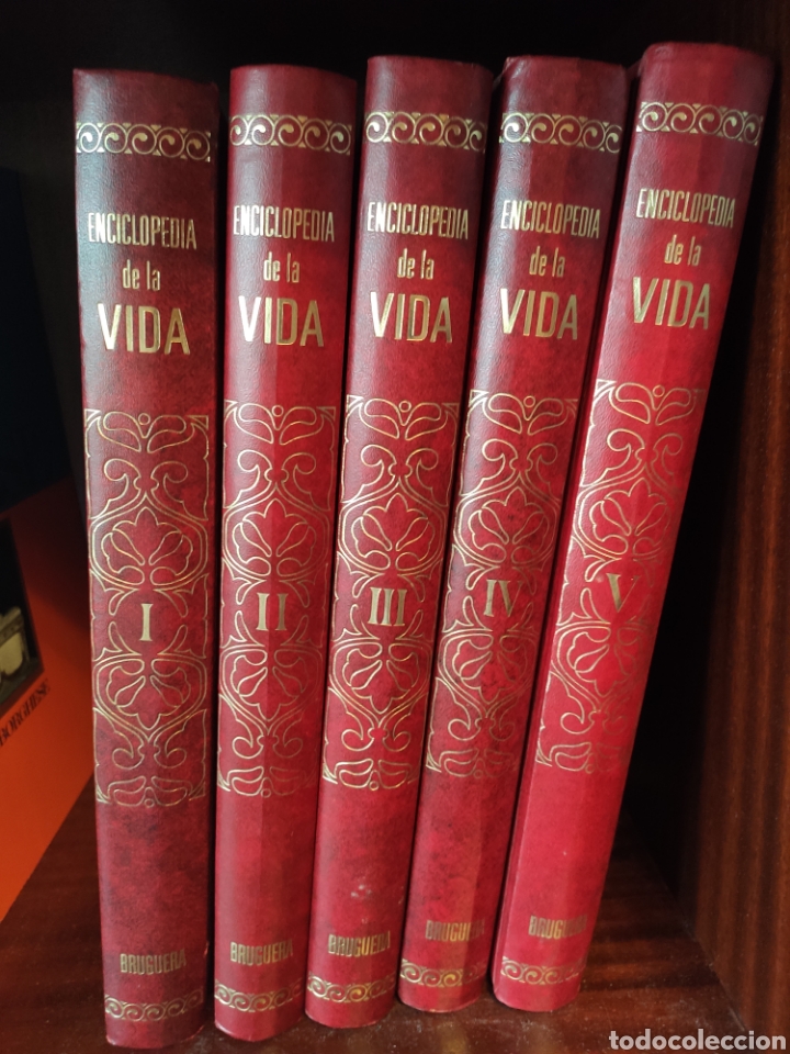Enciclopedias de segunda mano: Enciclopedia de la vida - Foto 1