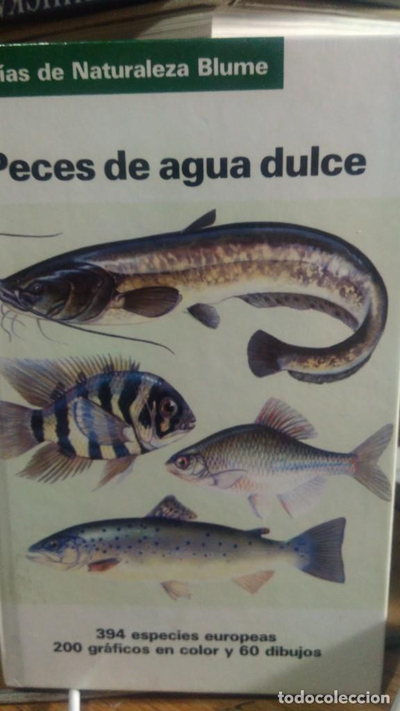 Enciclopedias de segunda mano: PECES DE AGUA DULCE, ED. BLUME - Foto 1