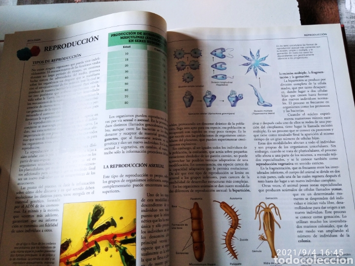 Enciclopedias de segunda mano: Libro Crisol biolog&iacute;a Botanica - Foto 5