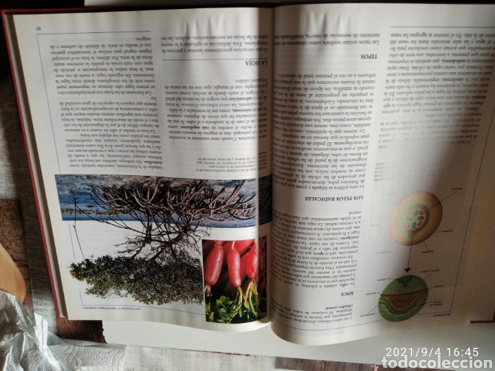 Enciclopedias de segunda mano: Libro Crisol biolog&iacute;a Botanica - Foto 6