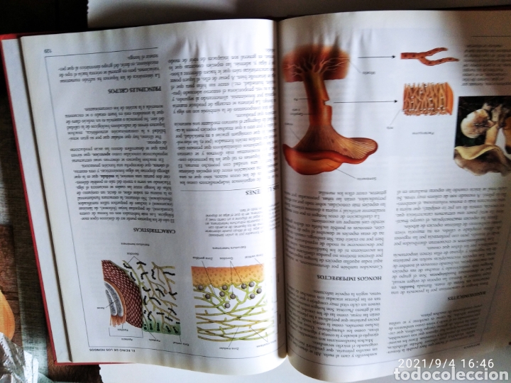 Enciclopedias de segunda mano: Libro Crisol biolog&iacute;a Botanica - Foto 7