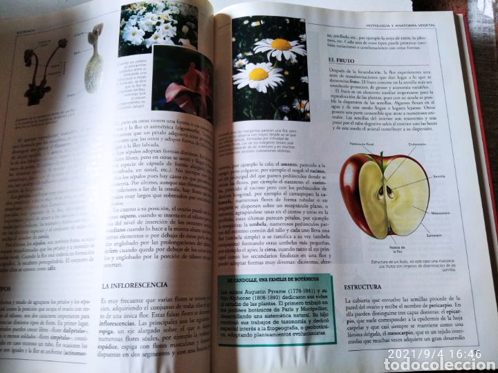 Enciclopedias de segunda mano: Libro Crisol biolog&iacute;a Botanica - Foto 8