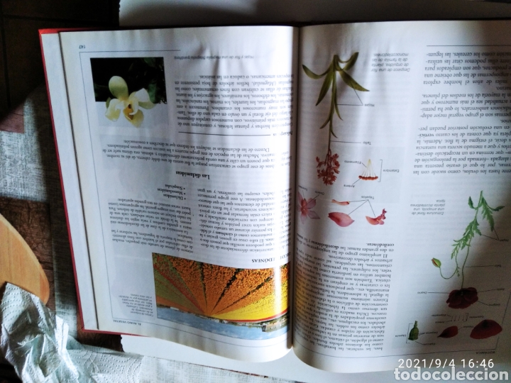 Enciclopedias de segunda mano: Libro Crisol biolog&iacute;a Botanica - Foto 9
