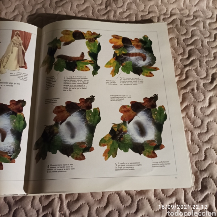 Enciclopedias de segunda mano: Enciclopedia Visual de los seres vivos. - Foto 2