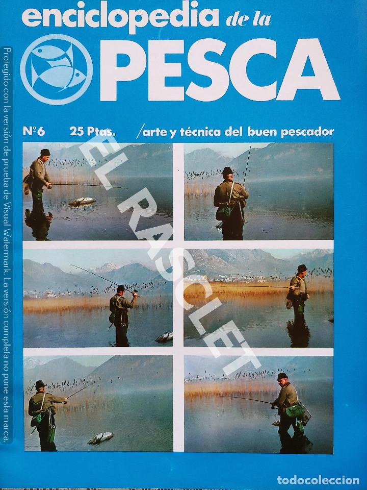 Enciclopedia de la pesca