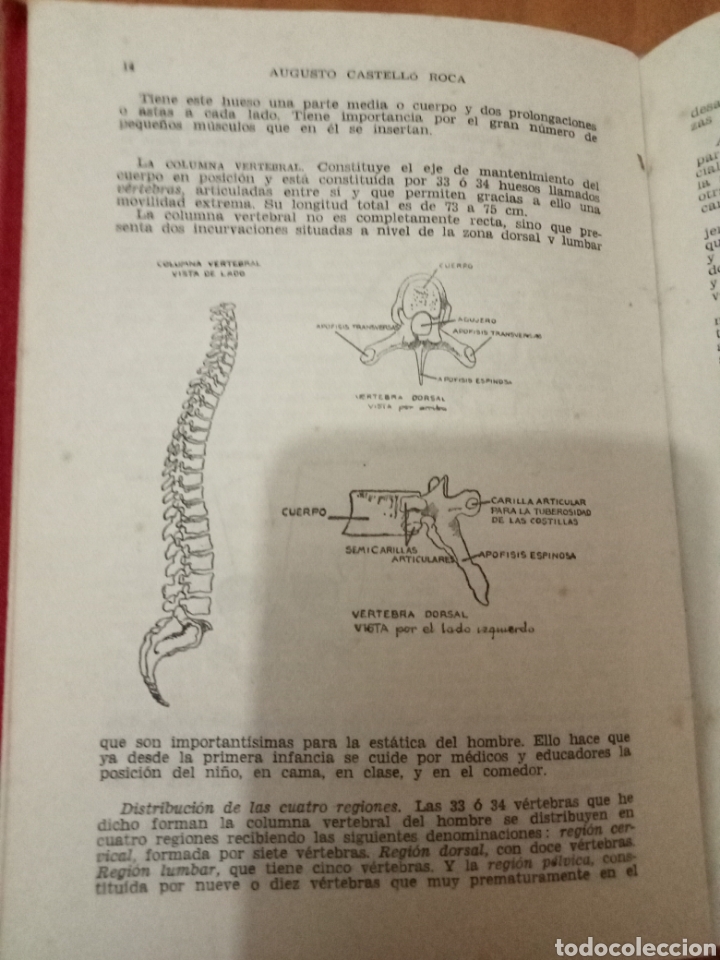 Enciclopedias de segunda mano: El cuerpo humano - Foto 4