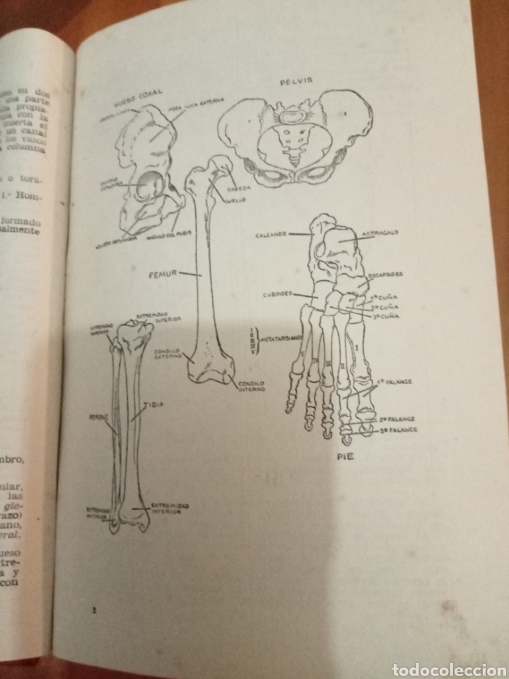 Enciclopedias de segunda mano: El cuerpo humano - Foto 5