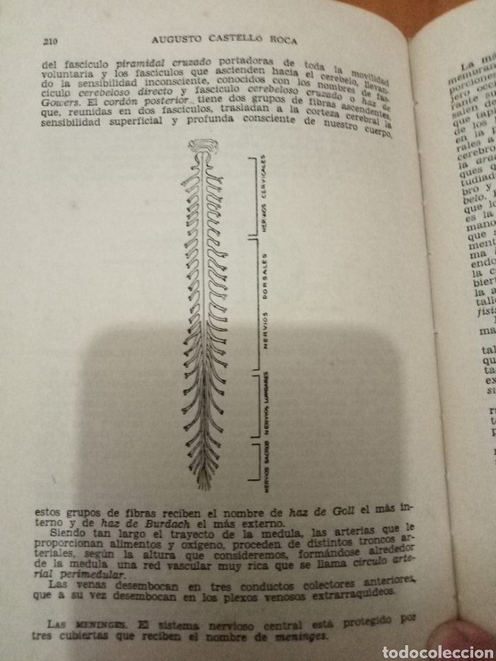 Enciclopedias de segunda mano: El cuerpo humano - Foto 7