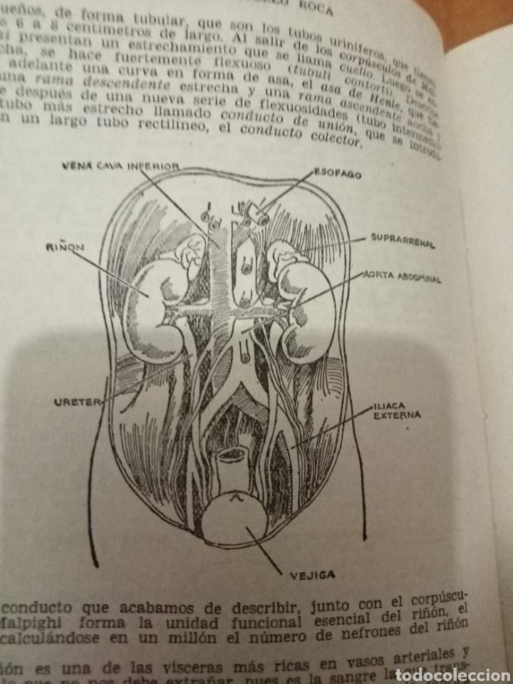Enciclopedias de segunda mano: El cuerpo humano - Foto 8