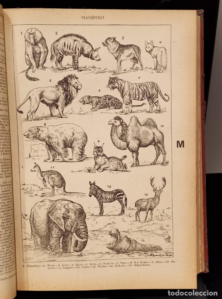 Enciclopedias de segunda mano: Enciclopedia Columbus - Foto 18