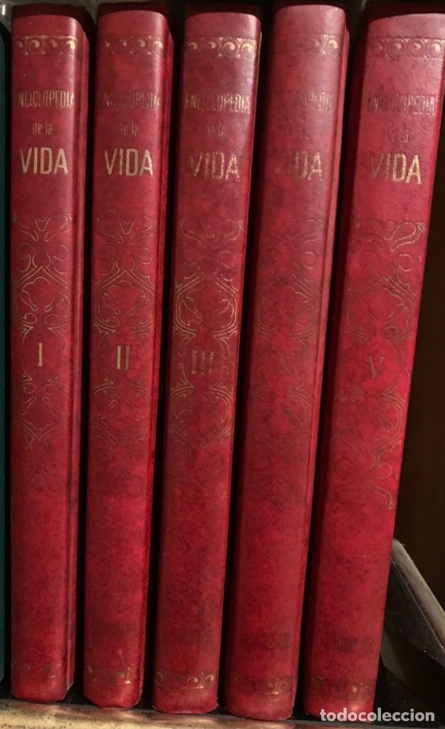 Enciclopedias de segunda mano: Enciclopedia de la vida - Foto 1