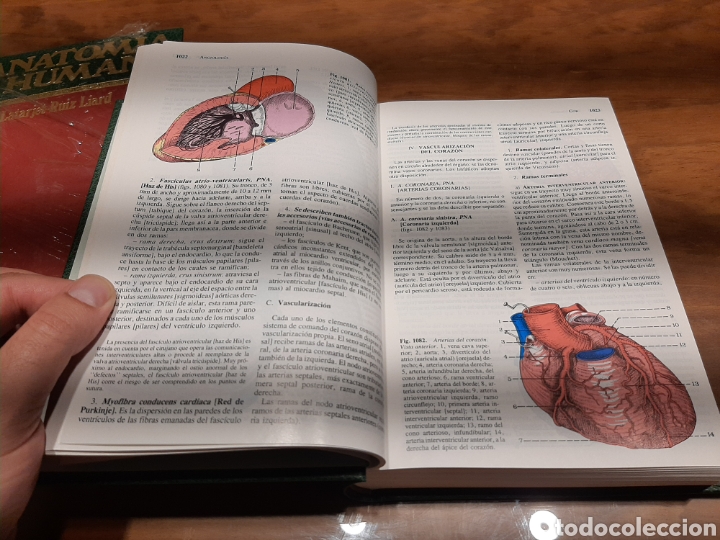 Enciclopedias de segunda mano: Anatom&iacute;a Humana - Foto 3